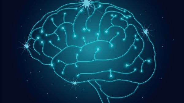 Средний IQ россиян вырос за год: Россия занимает 6 место в мире