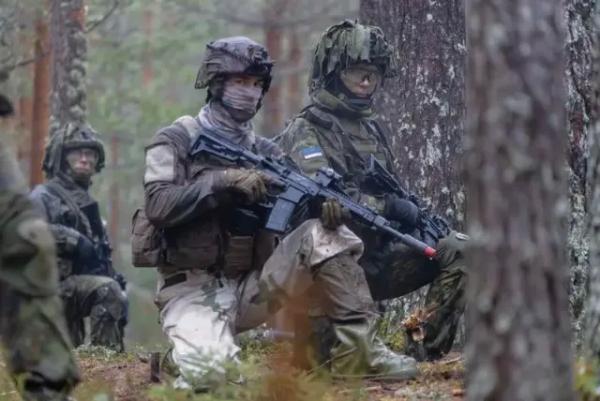 В Эстонии близ границы с РФ стартуют крупные международные армейские учения